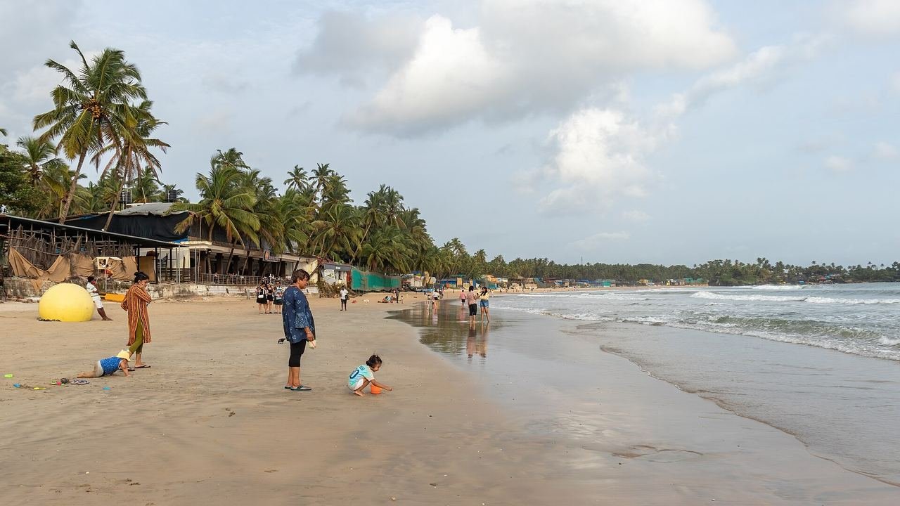 Families playing on the sand at Palolem Beach in South Goa, with palm trees along the shore